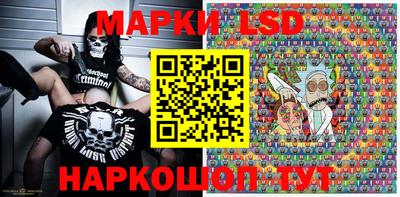 шишки Кингисепп