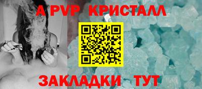 шишки Кингисепп